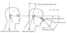 Schemat kąta deklinacji i jego wpływ na wielkość kąta pochylenia głowy.